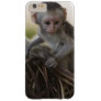 Kenya, Samburu Game Reserve. Vervet Monkey Barely There iPhone 6 Plus Case