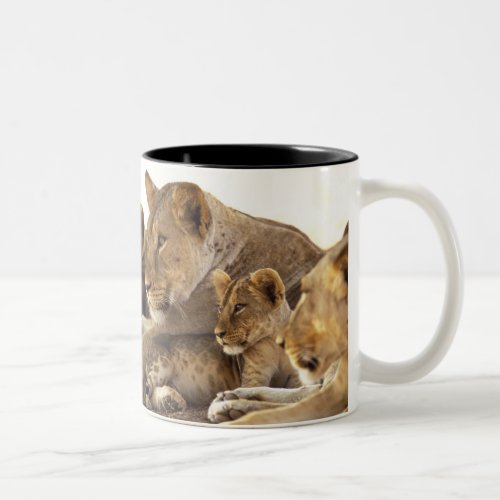 Kenya Samburu National Game Reserve Lion cub 2 Two_Tone Coffee Mug