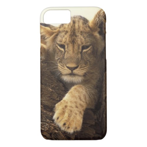 Kenya Samburu National Game Reserve Lion cub iPhone 87 Case