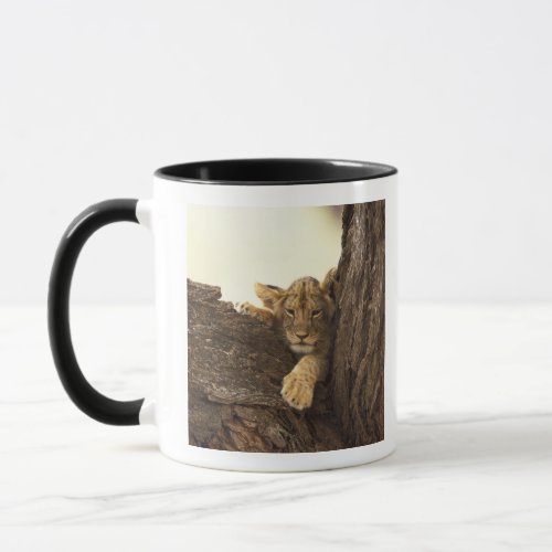 Kenya Samburu National Game Reserve Lion cub Mug