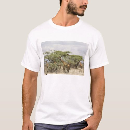 Kenya Samburu National Reserve Rothschild T_Shirt