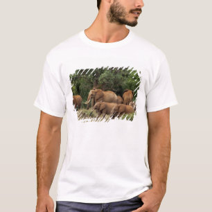 Kenya: Tsavo East National Park, herd African T-Shirt