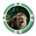 Kenyan Lion Poker Chips