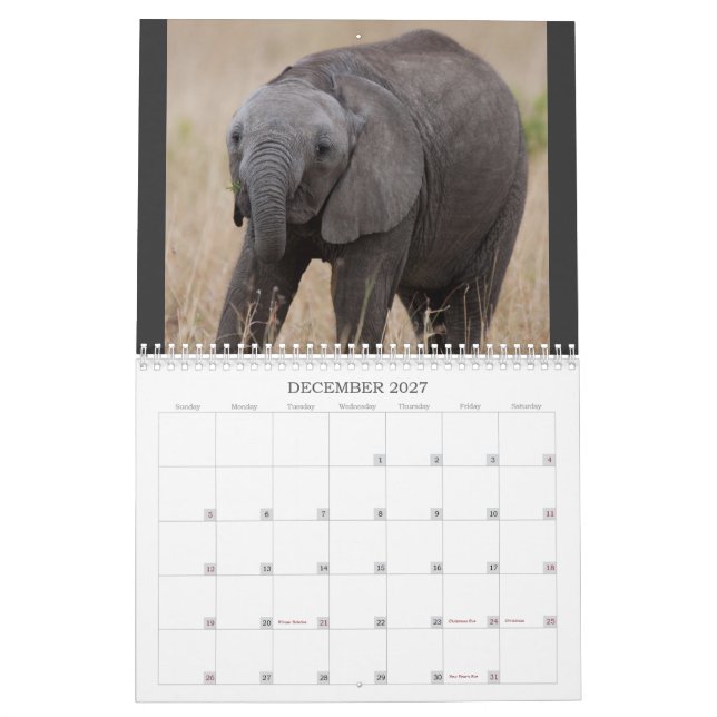 Kenya's Big 5 Calendar (Dec 2027)