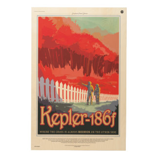 Kepler 186f Where the Grass is Alway Red vacation Wood Wall Art