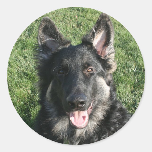 Kepler Classic Round Sticker (Front)