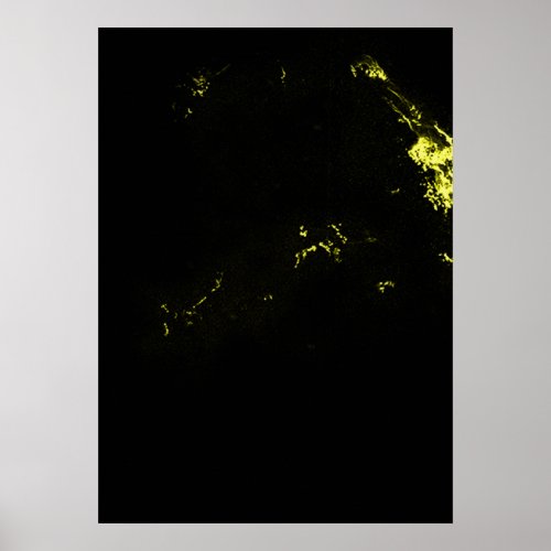 Keplers Supernova Remnant in Visible Light Poster