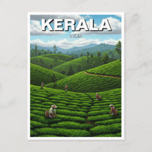 Kerala India Tea Plantation Postcard