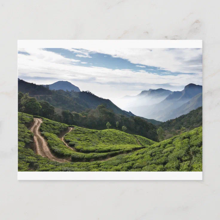 Kerala one side and Tamil Nadu in the background, Postcard | Zazzle