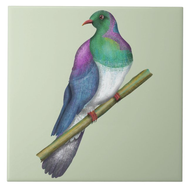 Kereru Wood pigeon Ceramic Tile (Front)