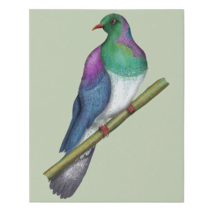 Kereru Wood pigeon Faux Canvas Print