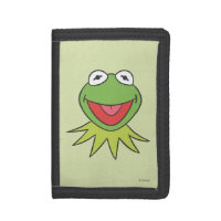 Kermit the Frog Cartoon Head