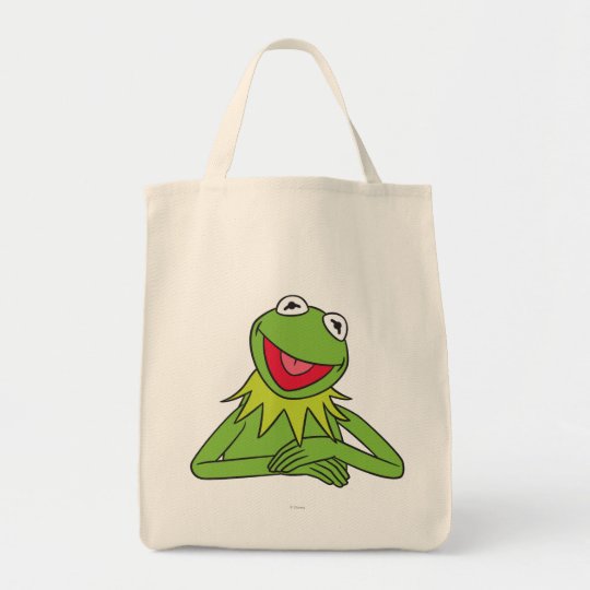 kermit bean bag doll