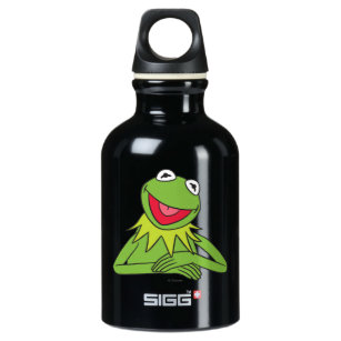 Kermit the Frog Stainless Steel Water Bottle with Built-In Straw – The  Muppets