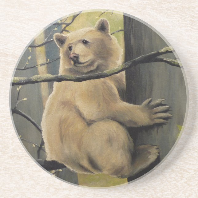 Kermode Bear Art Coasters Bear Drink Coaster (Front)