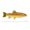 Kern River Rainbow Trout Art Poster