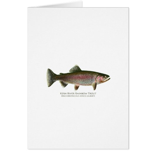 Kern River Rainbow Trout Cards (Front)