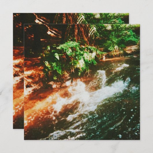 Kerosene Creek Hot Spring (Front/Back)