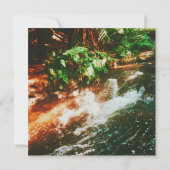 Kerosene Creek Hot Spring  (Back)