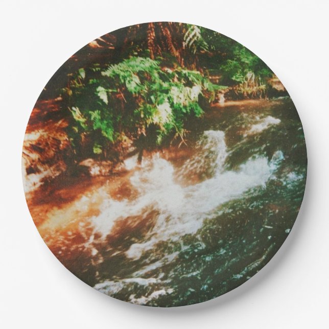 Kerosene Creek, Rotorua, New Zealand  Paper Plates (Front)