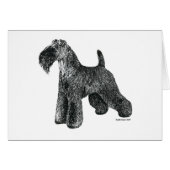 Kerry Blue Terrier (Front Horizontal)