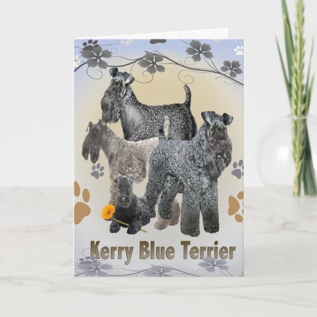 Kerry Blue Terrier Cards (Front)