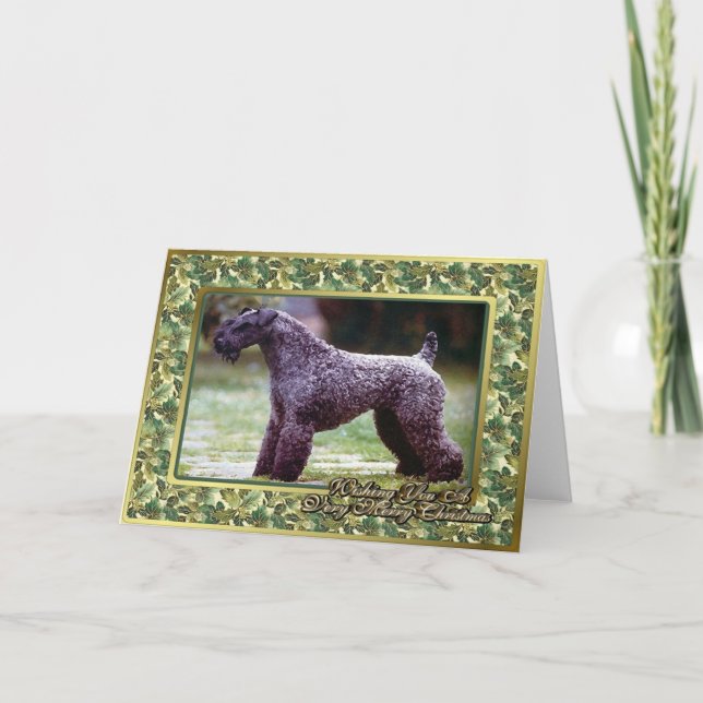Kerry Blue Terrier Dog Blank Christmas Card (Front)