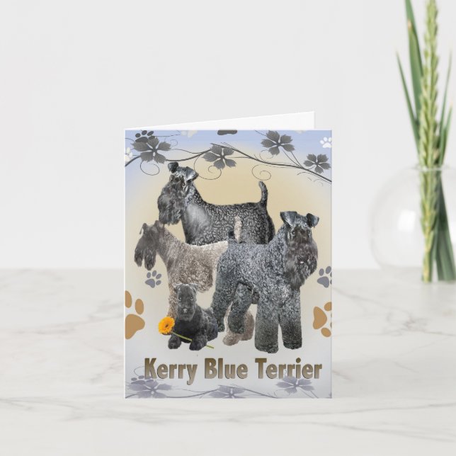 Kerry Blue Terrier Greeting cards (Front)