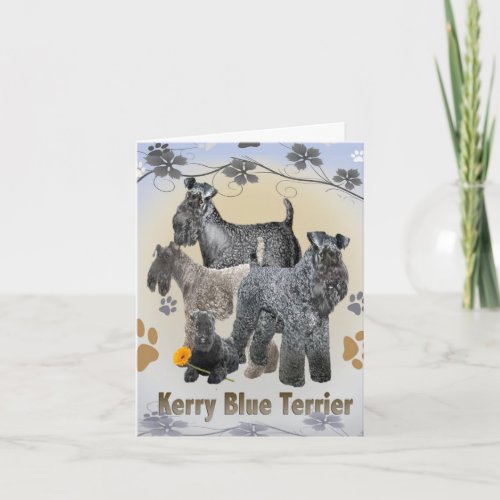 Kerry Blue Terrier Greeting cards