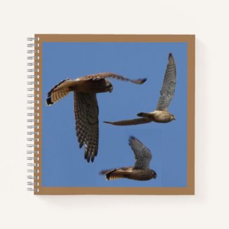 Kestrel Birds Photography Cust. Text Notebook