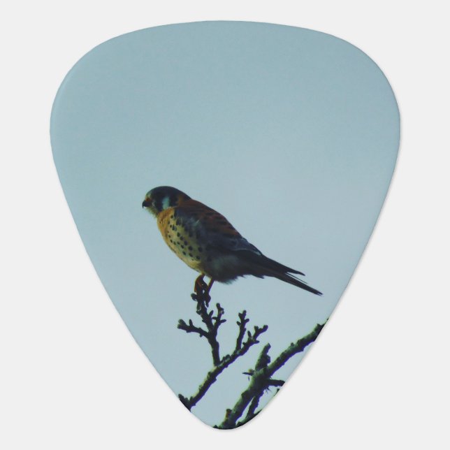 Kestrel Guitar Pick (Front)