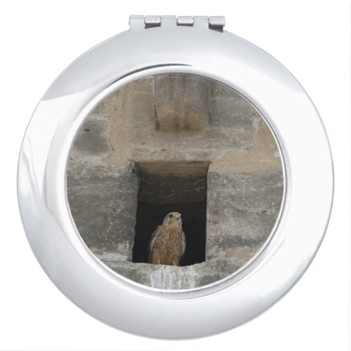Kestrel in a small wall opening in the old church  compact mirror