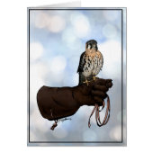 Kestrel on Glove Illustration (Front)