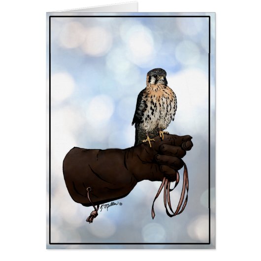Kestrel on Glove Illustration (Front)