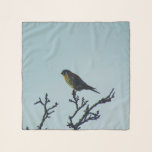 Kestrel Silk Scarf<br><div class="desc">I took this photo of an adorable little kestrel.</div>