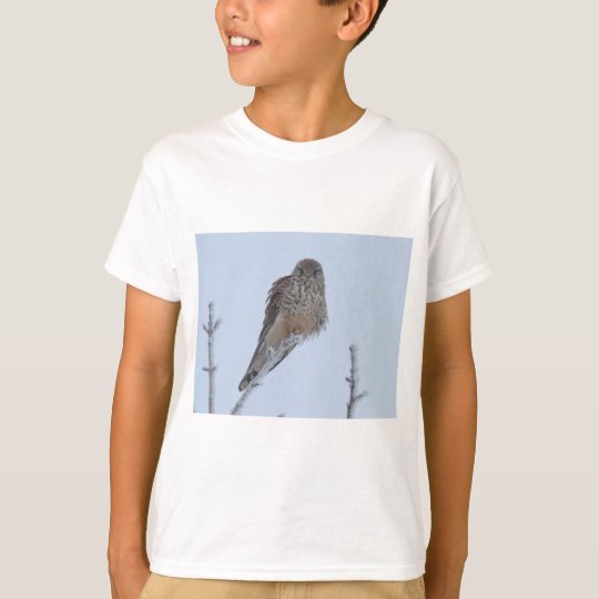 Kestrel T-Shirt