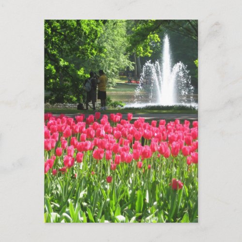 Keukenhof garden _ Holland postcard