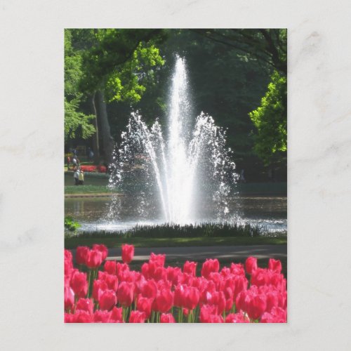 Keukenhof garden _ Holland postcard