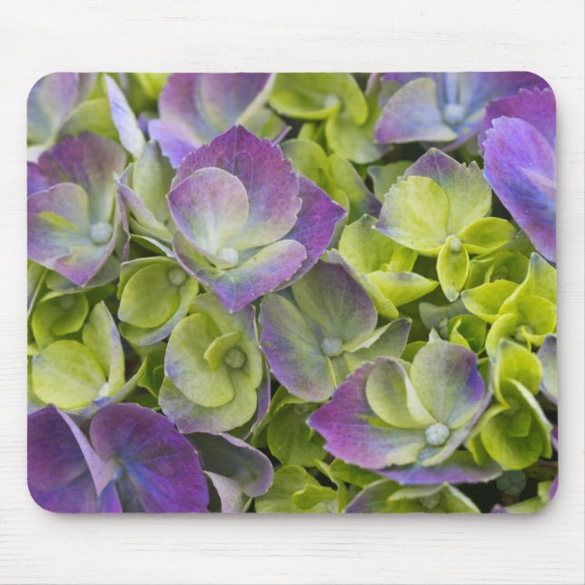 Keukenhof Garden Hydrangea Mouse Pad (Front)
