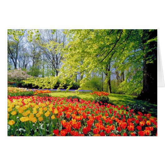 KEUKENHOF GARDENS CARDS (Front Horizontal)