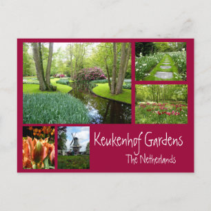 Keukenhof Gardens Collage Postcard
