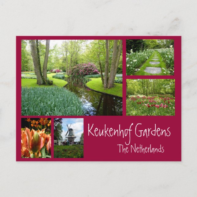 Keukenhof Gardens Collage Postcard (Front)