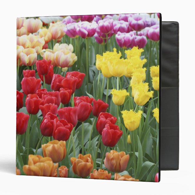 Keukenhof Gardens, Holland, specializes in 2 3 Ring Binder (Front/Inside)