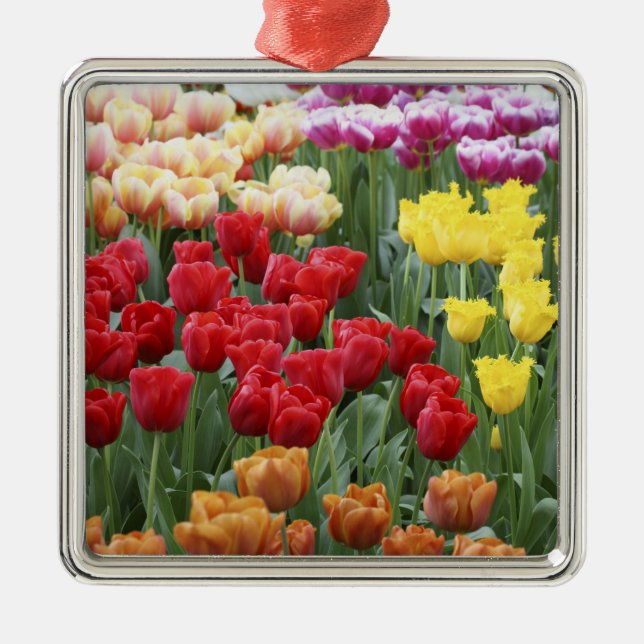 Keukenhof Gardens, Holland, specializes in 2 Metal Ornament (Front)