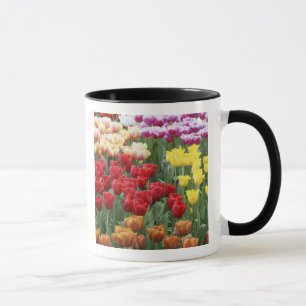 Keukenhof Gardens, Holland, specializes in 2 Mug
