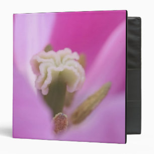 Keukenhof Gardens, Holland, specializes in 3 Ring Binder