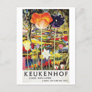 Keukenhof Gardens Holland Tulips Vintage Postcard