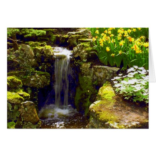 KEUKENHOF GARDENS, LISSE HOLLAND CARDS (Front Horizontal)