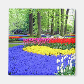 KEUKENHOF GARDENS, LISSE HOLLAND MAGNET
