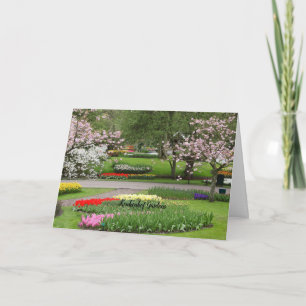Keukenhof Gardens, Netherlands Card